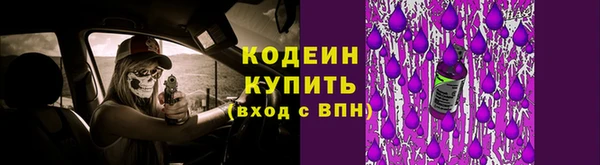 PSILOCYBIN Покачи