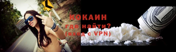 PSILOCYBIN Покачи
