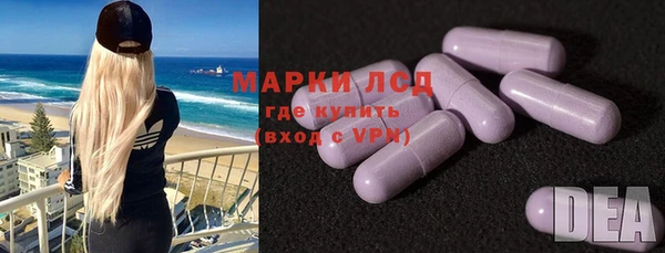 PSILOCYBIN Покачи