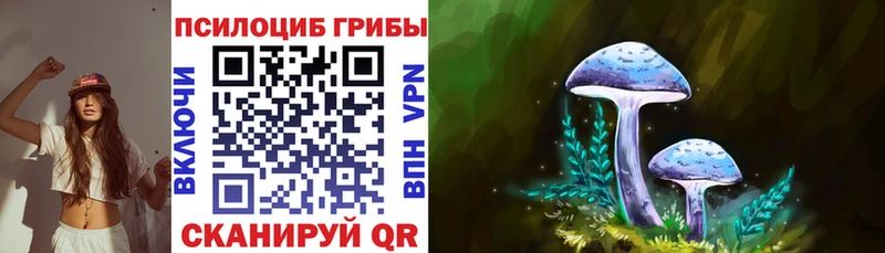 Галлюциногенные грибы Magic Shrooms  Соль-Илецк 