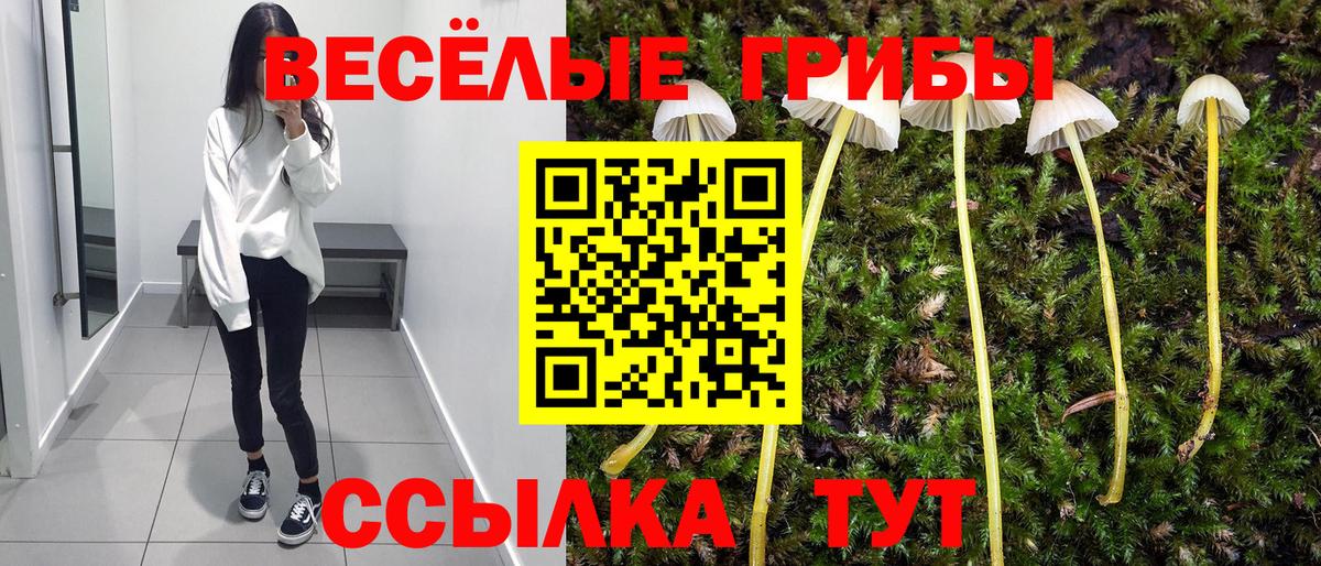 A PVP СК   Бошки Шишки  Героин  Соль-Илецк  Мефедрон  ГАШИШ  Мефедрон   НБОМе  Канабис  Вход с VPN 