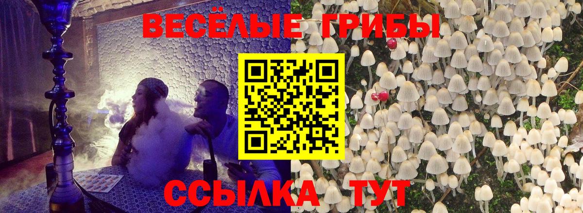 Соль-Илецк  Галлюциногенные грибы Cubensis  где продают   Вход с VPN 